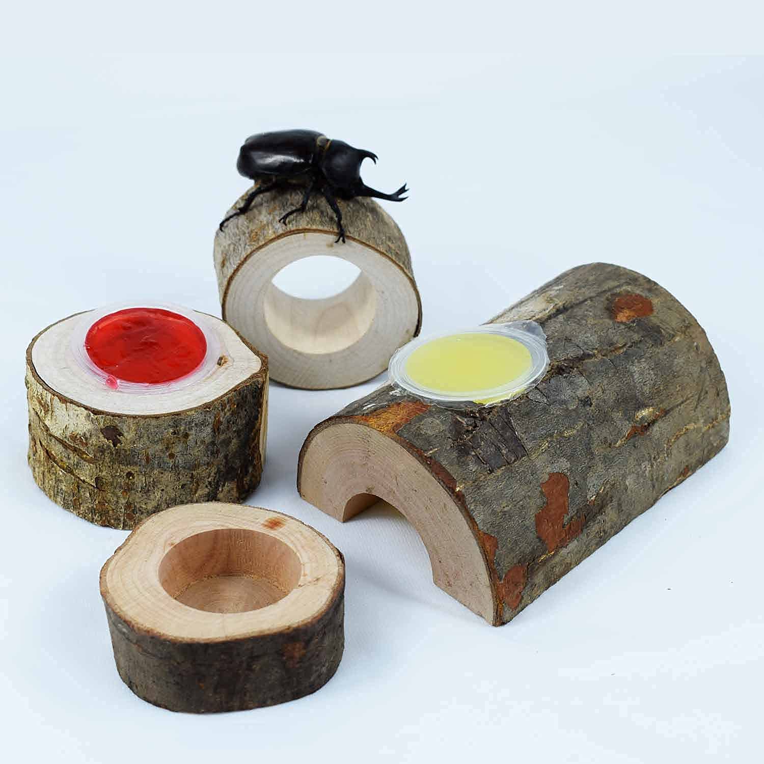 Amazon | えさ皿 昆虫のかくれ木 のぼり木 クワガタ 隠れ家 飼育木