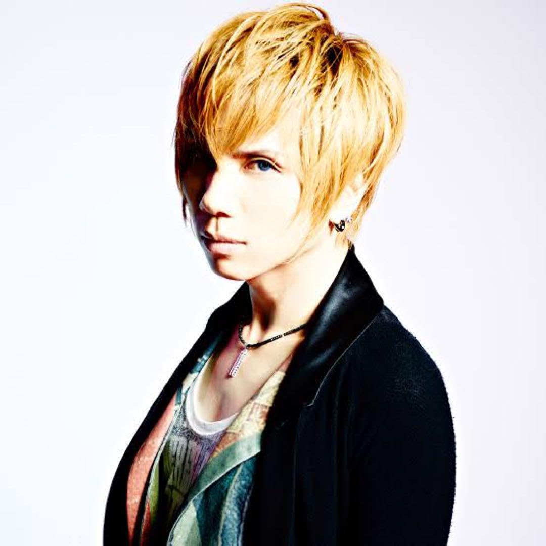 Amazon.co.jp: Acid Black Cherry yasu ネックレス : おもちゃ