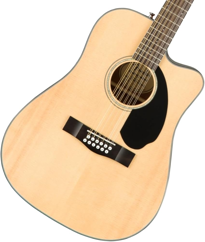 Amazon.co.jp: フェンダー Fender CD-60SCE Dreadnought 12 string WN
