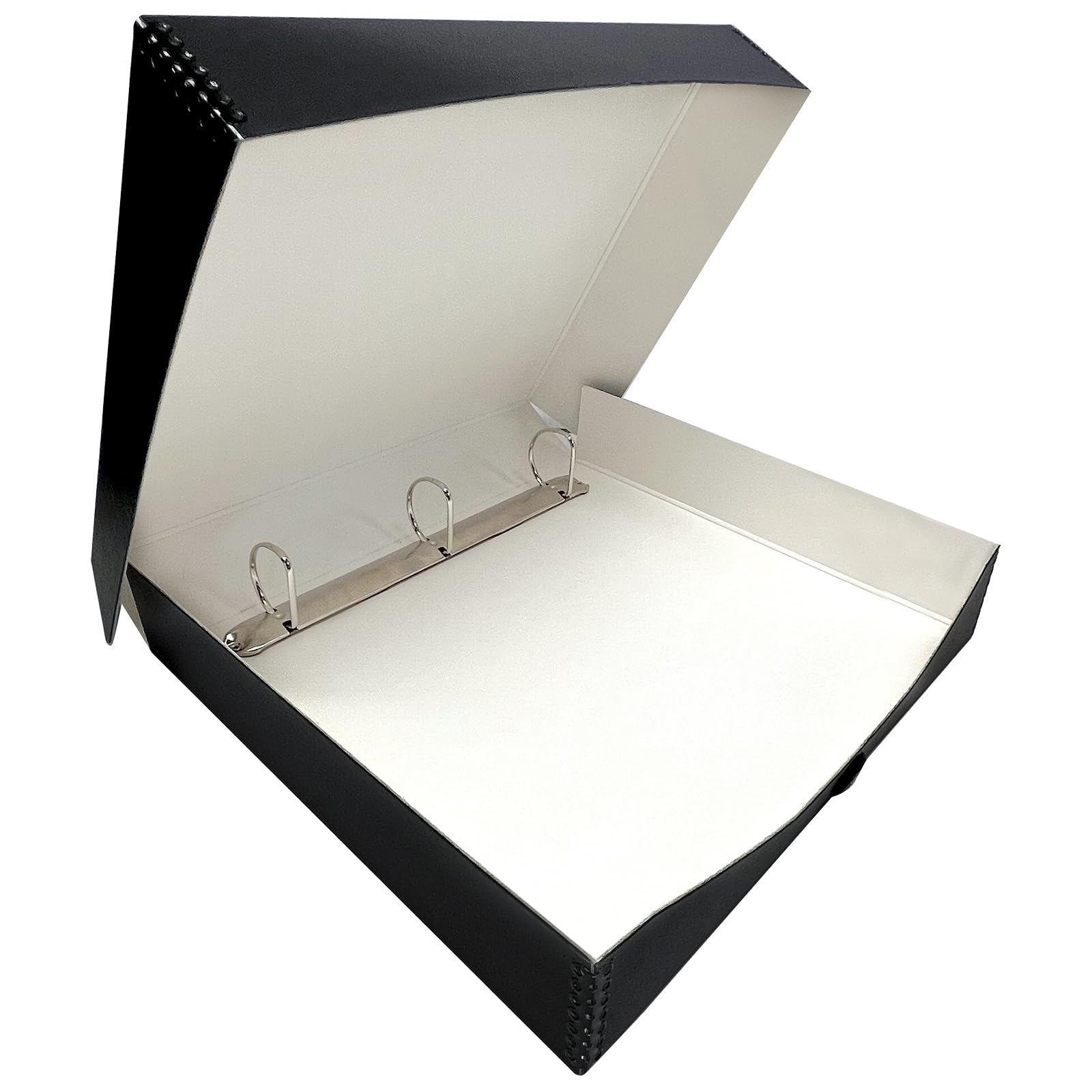 Amazon.com: Lineco Archival Oversized 3-Ring Album Box with