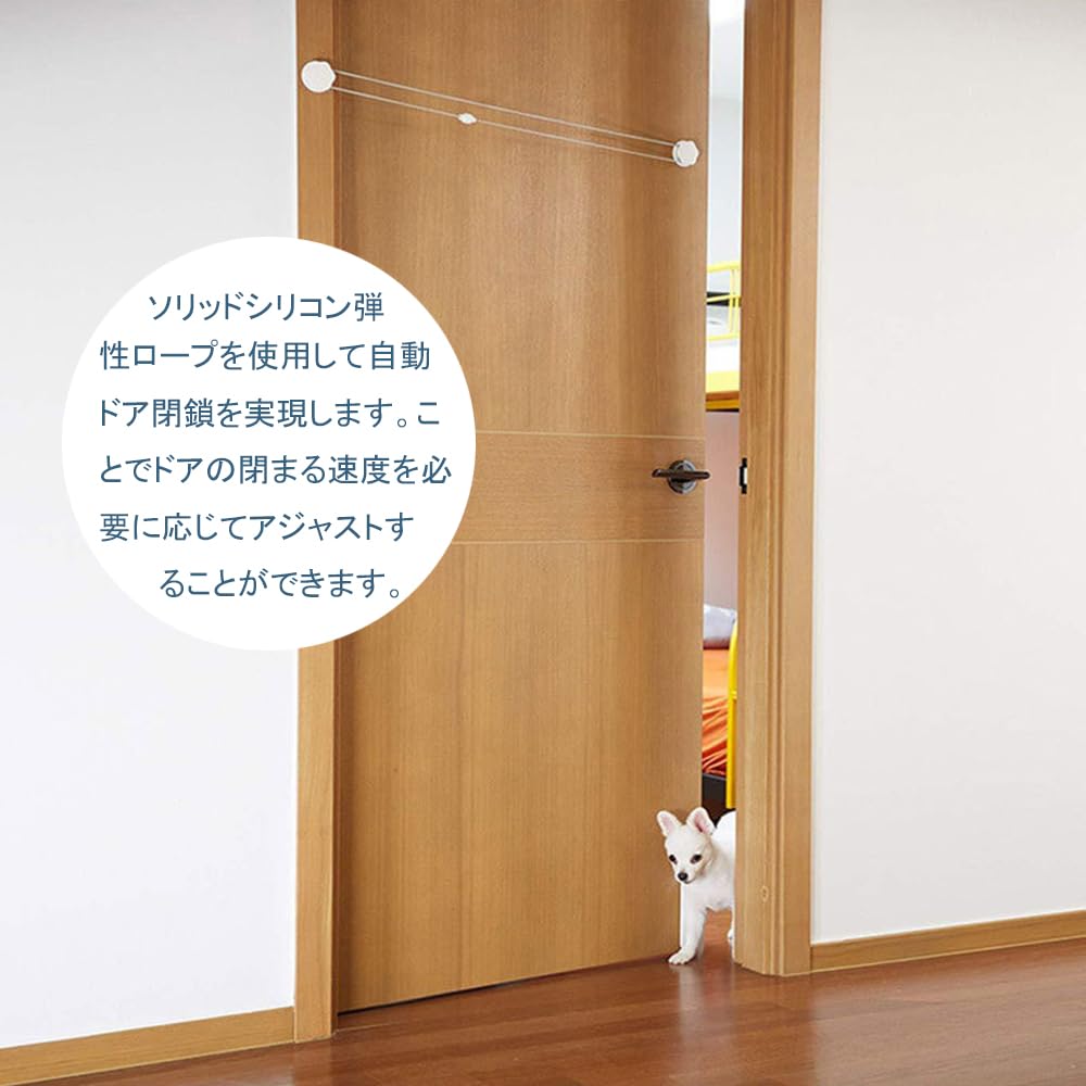 Amazon.co.jp: BTtime ドア 半自動 門 犬 猫 ペット出入り口 自動