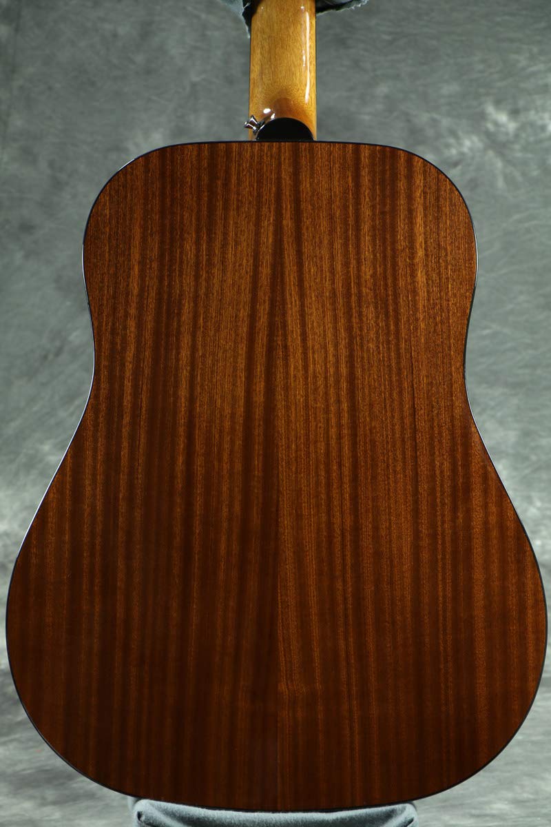 Amazon | Epiphone アコースティックギター DR-100 NA エピフォン