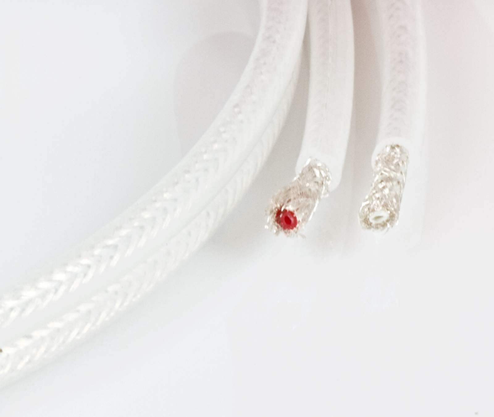 QED-Silver Anniversary XT Speaker Cable, 1m: Amazon.co.uk