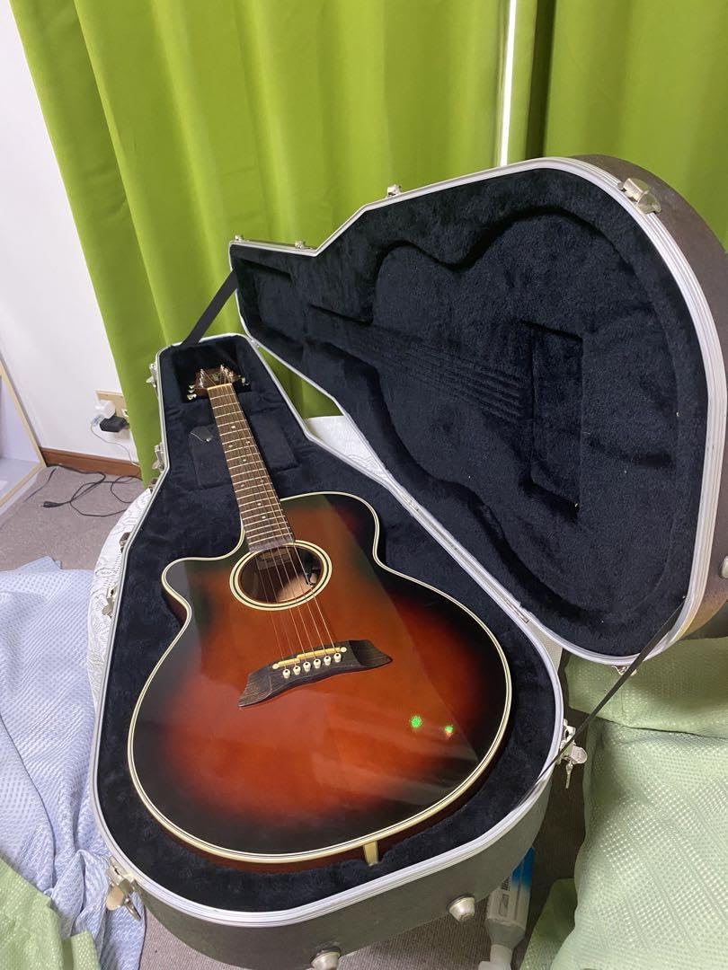 Amazon.co.jp: 長渕剛愛用 Takamine エレアコPT106 純正ハードケース付