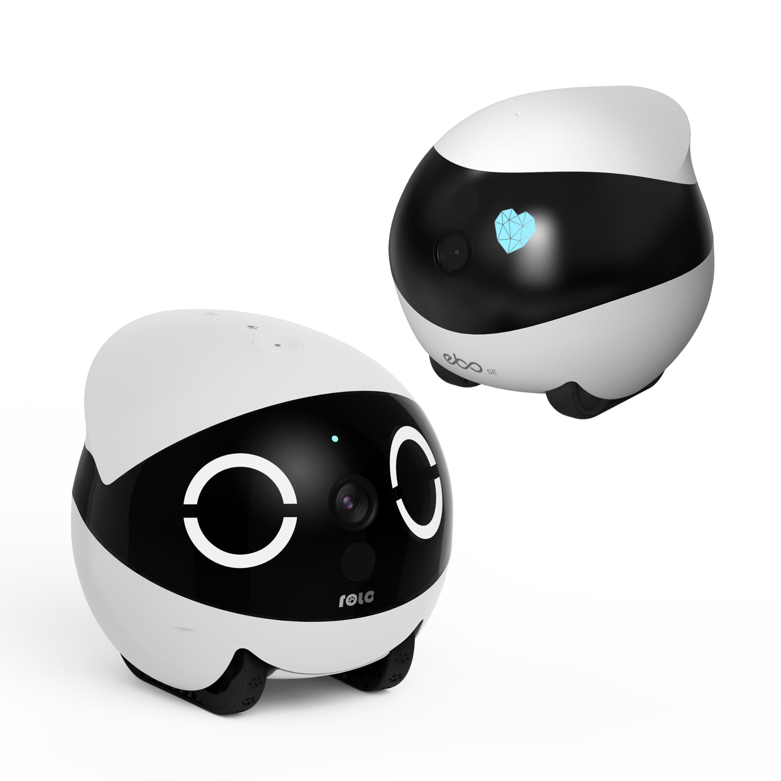 Amazon.com: Enabot EBO SE 1080P Movable Camera + ROLA Mini 2K Pet