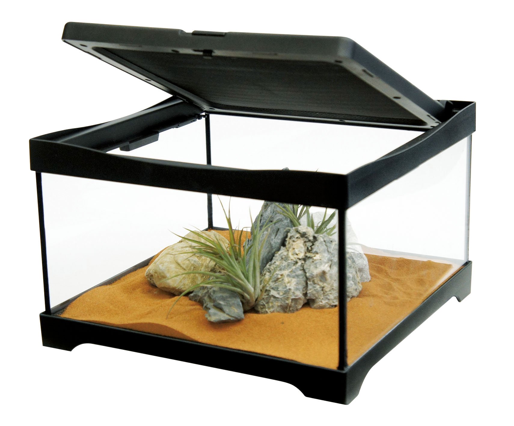 Amazon | コトブキ ヒュドラケース3120 | Kotobuki | 飼育ケース