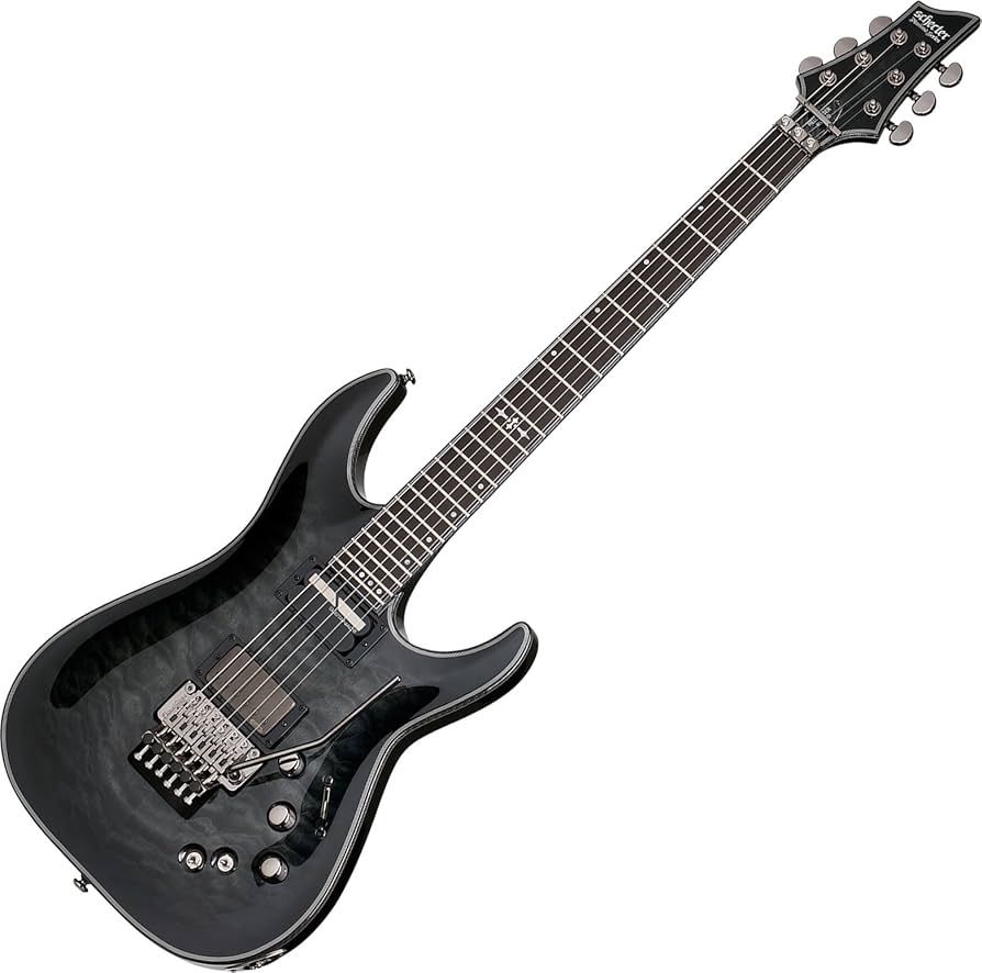 Amazon.com: Schecter Hellraiser Hybrid C-1 with Floyd Rose and