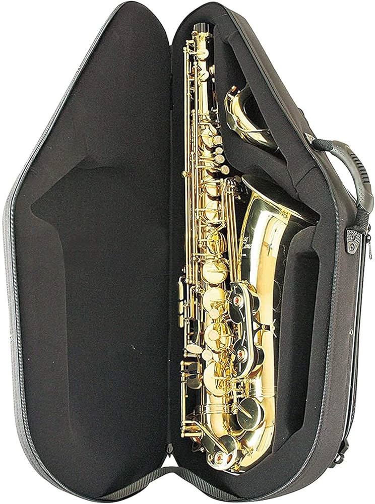 Amazon.co.jp: bags (バッグス) テナーサックス 用 ファイバーケース