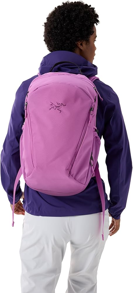 Amazon.co.jp: Arc'teryx Mantis 26 バックパック | 多用途 26L