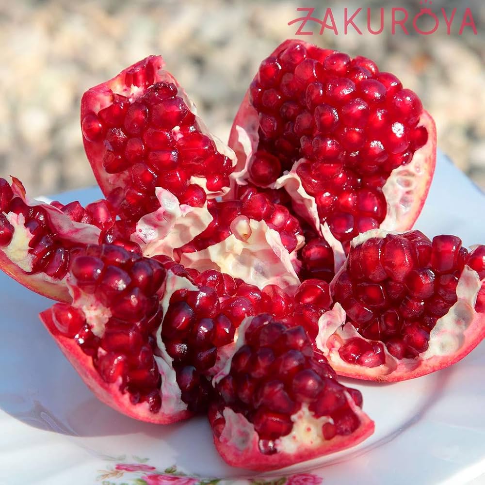 Amazon.co.jp: ザクロ屋 ざくろジュース 濃縮タイプ 無添加 農薬不使用