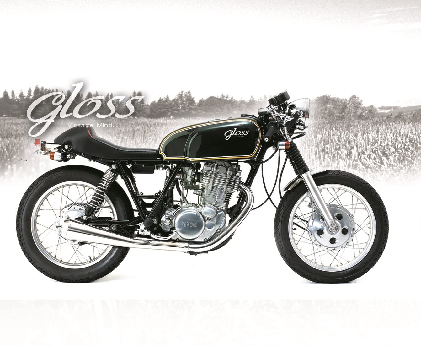 Amazon | ポッシュフェイス(POSH FAITH) バイク用品 GLOSS カフェ