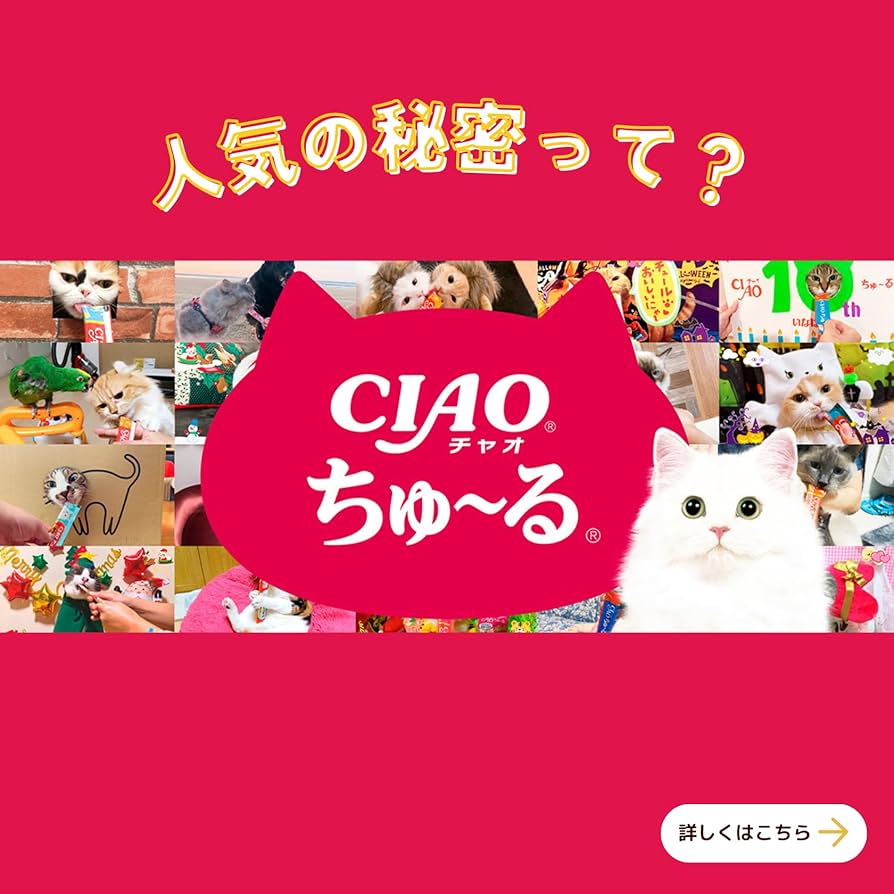 Amazon.co.jp: チャオ (CIAO) ちゅ~るグルメ バラエティ 60本 猫用