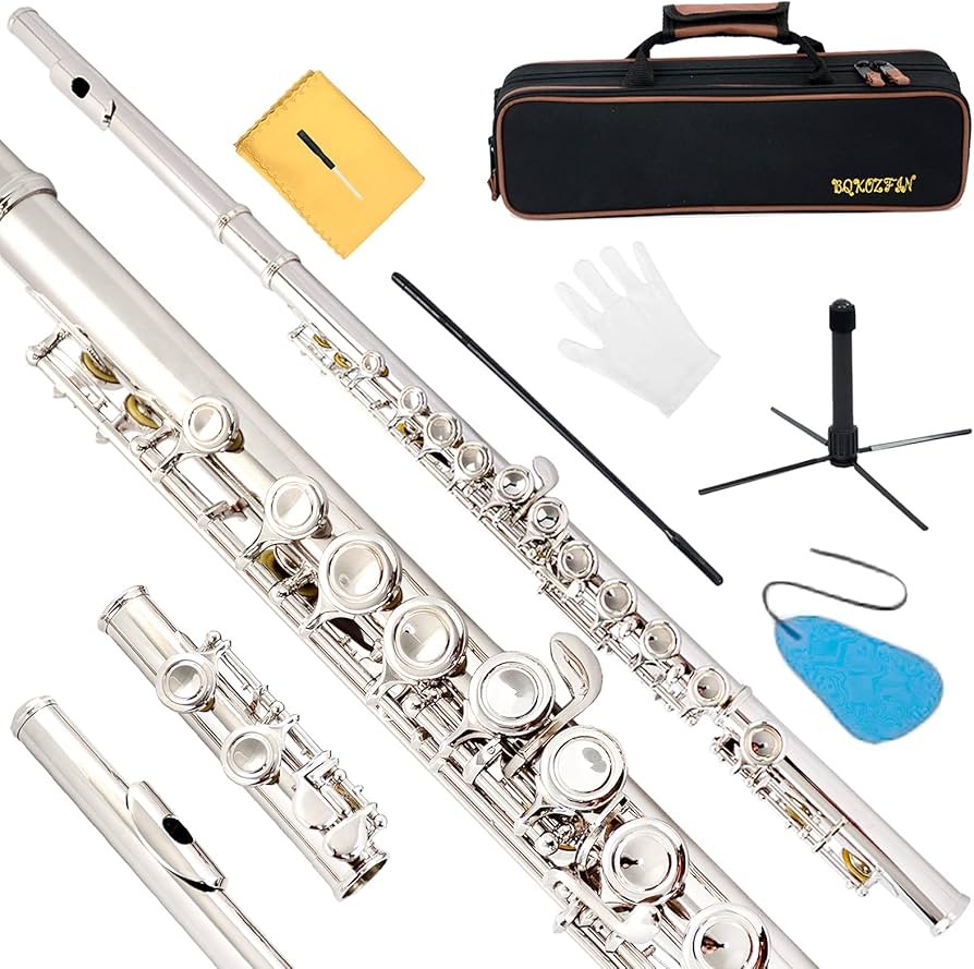 Amazon | BQKOZFIN フルート 16穴 木管楽器 Cキー 初心者セット Eメカ