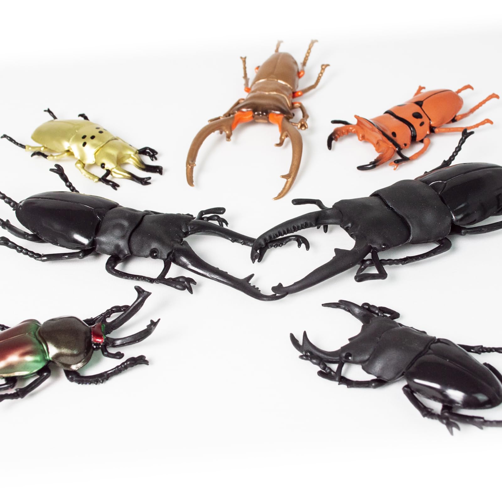 Amazon | 【昆虫フィギュア セット】ザ・アクセス 立体甲虫図鑑 世界の