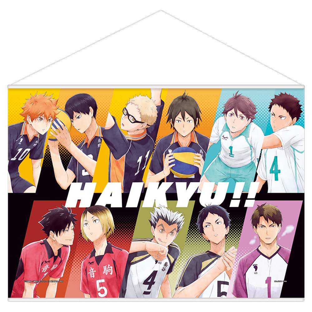 Amazon.co.jp: 一番くじ ハイキュー！！ ラストワン賞 掛式アート