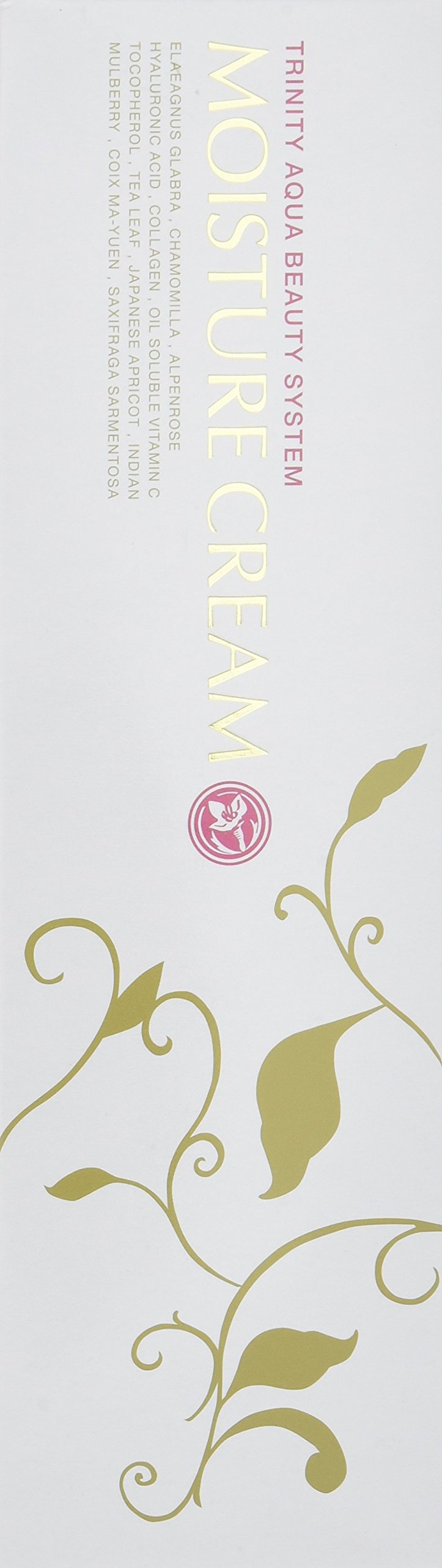 Amazon.co.jp: AYTYYO かぼく モイスチャークリーム＜195g