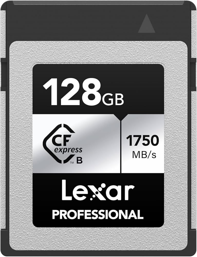 Amazon.com: Lexar 128GB Professional CFexpress Type B Silver