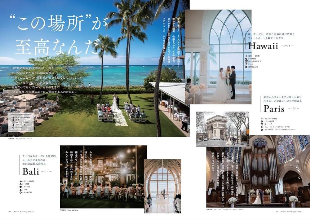 ゼクシィ新潟 2025年 1月号 特別付録【ミニーマウス】トラベルポーチ