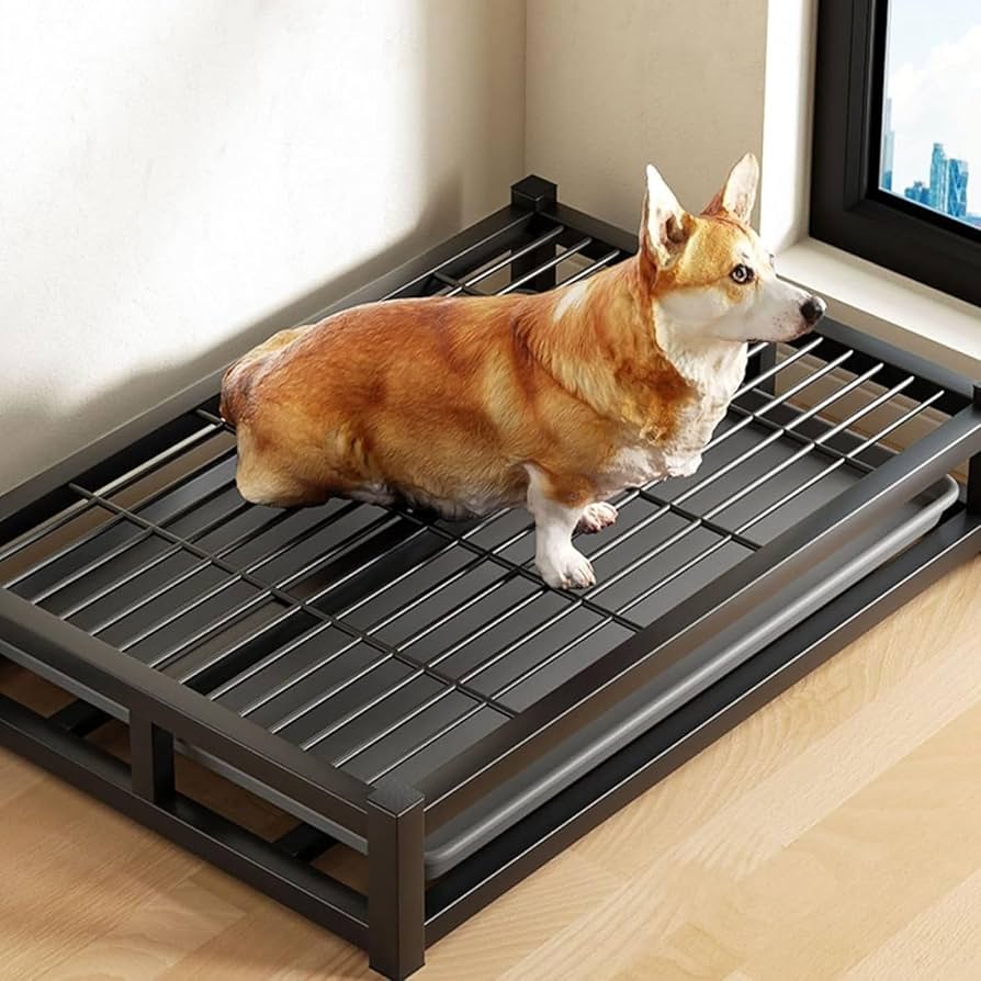 Amazon | 犬用トイレ 引き出し式 ワイド ステンレス鋼犬トイレトレー