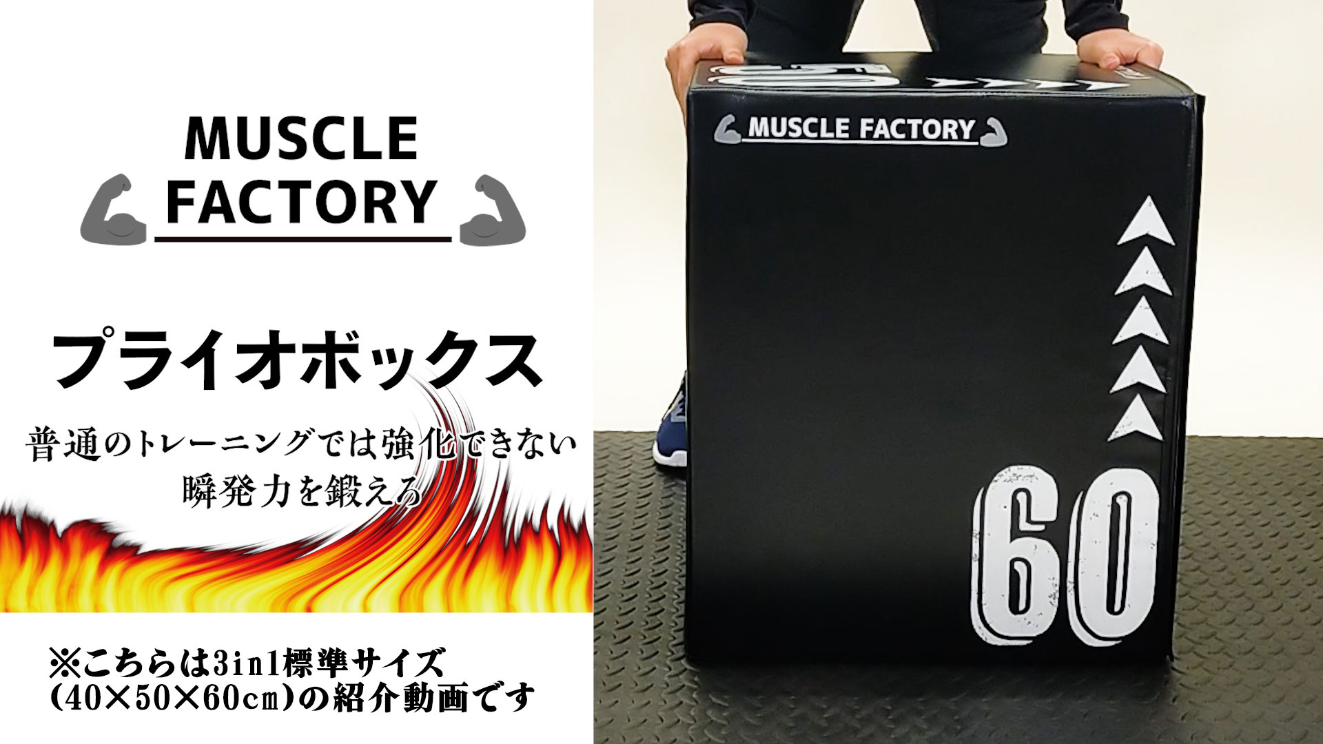 Amazon | MUSCLE FACTORY プライオボックス ソフト 50×60×70cm