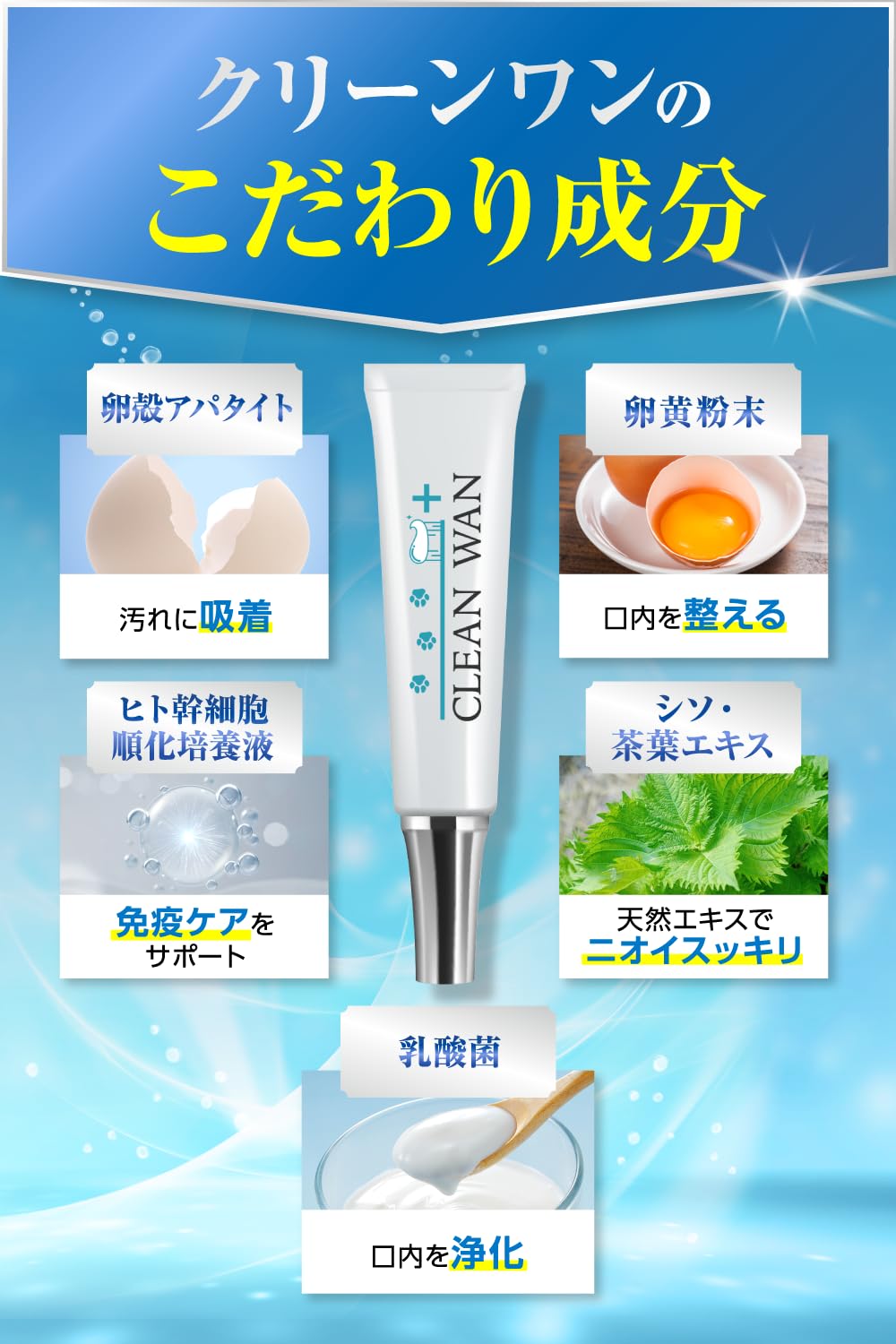 Amazon.co.jp: CLEAN WAN クリーンワン 犬 歯磨き ジェル 歯ブラシ