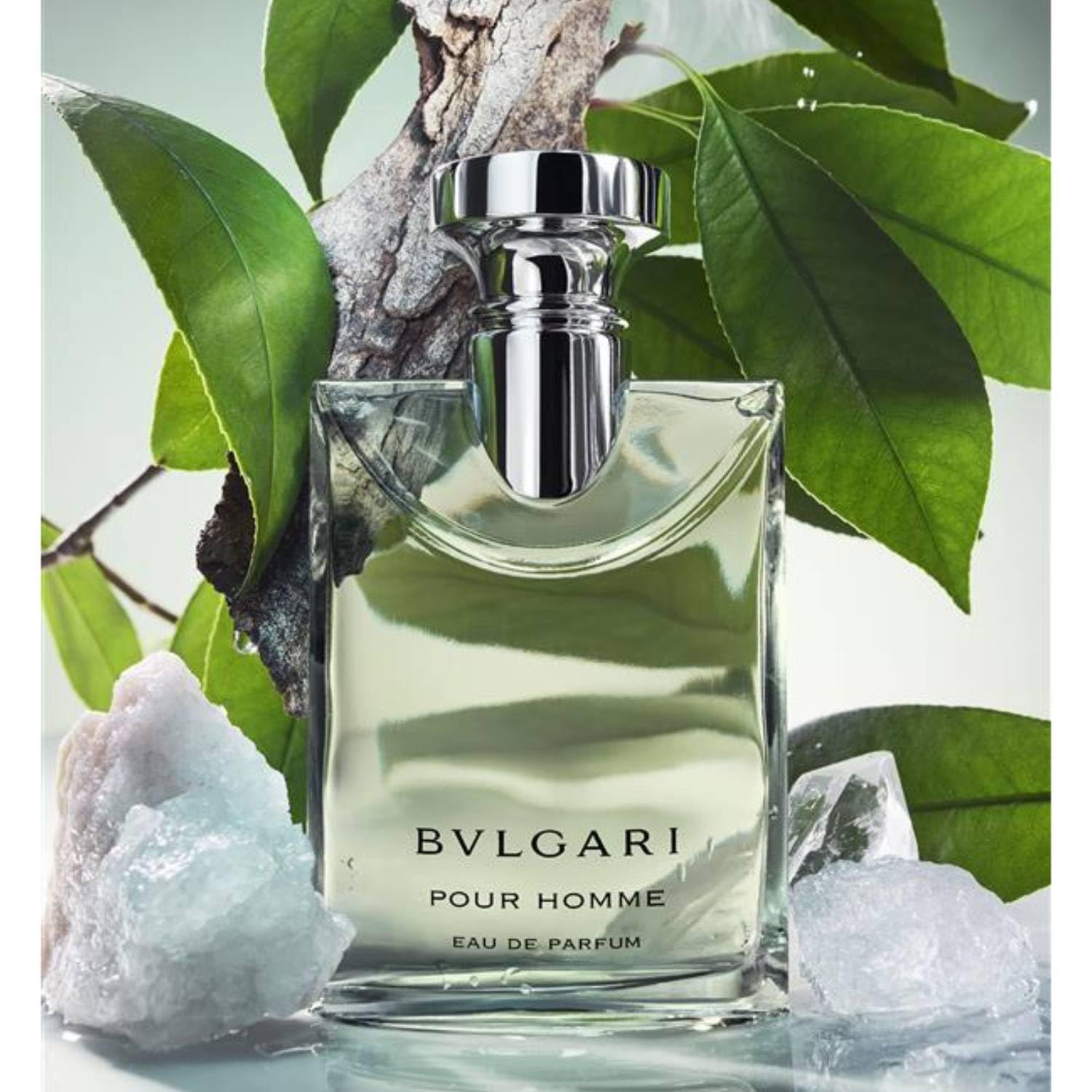 Amazon | ブルガリ プールオム オードパルファム 100mL | BVLGARI