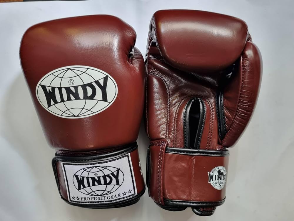 Amazon | ウィンディ WINDY Boxing Glove BGVH ボクシンググローブ 本