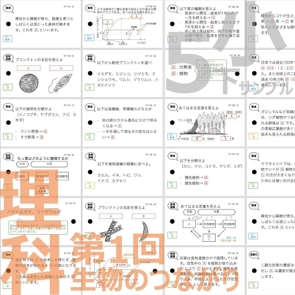 Amazon.co.jp: 中学受験5年下 理科全セット 1-18回 暗記カード 予シリ
