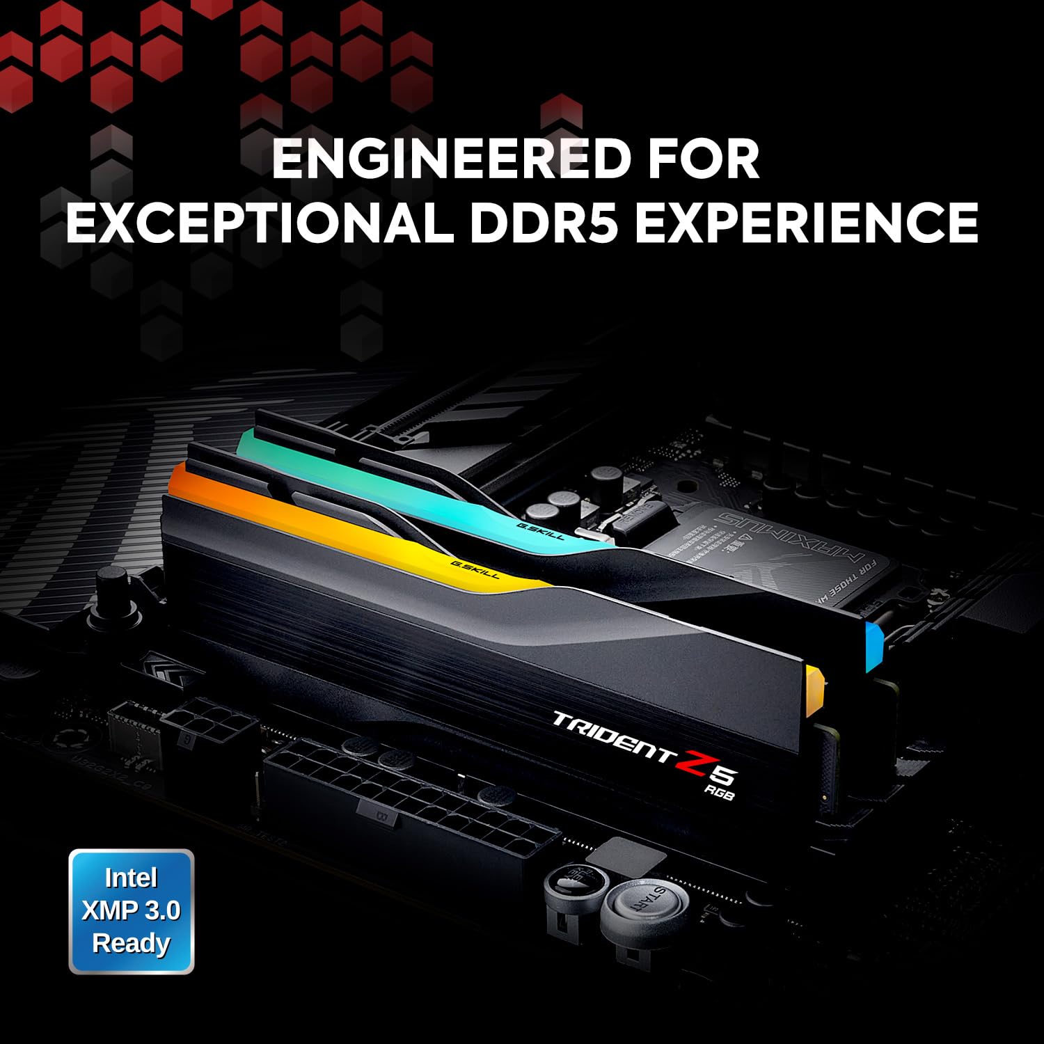 Amazon.co.jp: G.SKILL Trident Z5 RGBシリーズ DDR5 RAM (Intel XMP