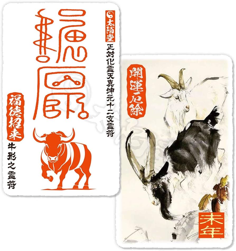 Amazon.co.jp: 大運をつかむ干支守護符【正対化霊天真坤元十二支霊符