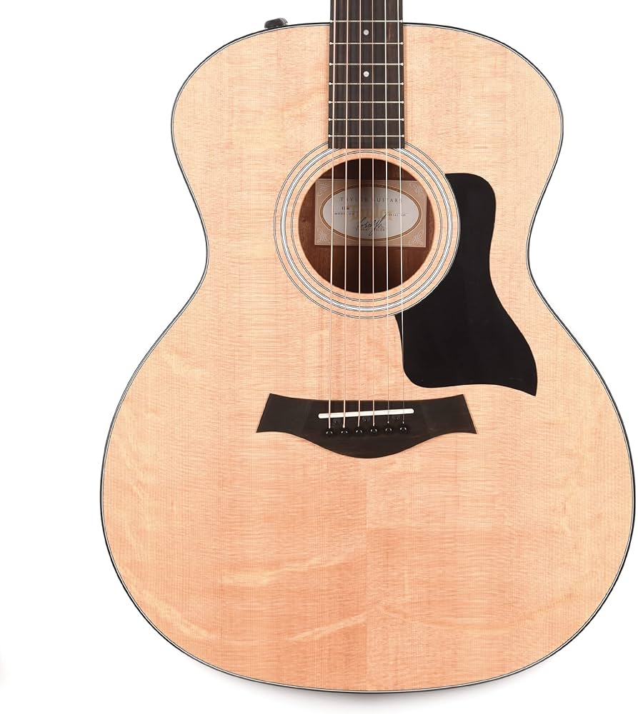 Amazon.co.jp: Taylor 114e Electric Acoustic Guitar Taylor