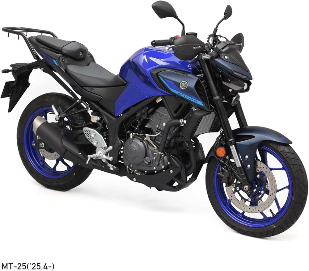 Amazon.co.jp: エンデュランス (ENDURANCE) バイク リア キャリア