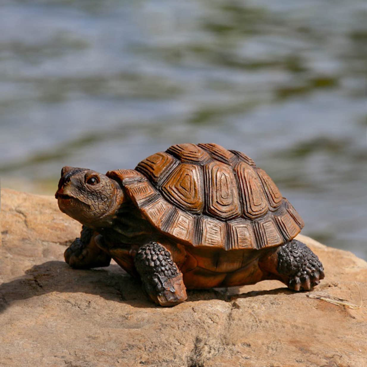 Amazon.co.jp: 亀の置物 かめ リアル カメ おきもの タートル 動物