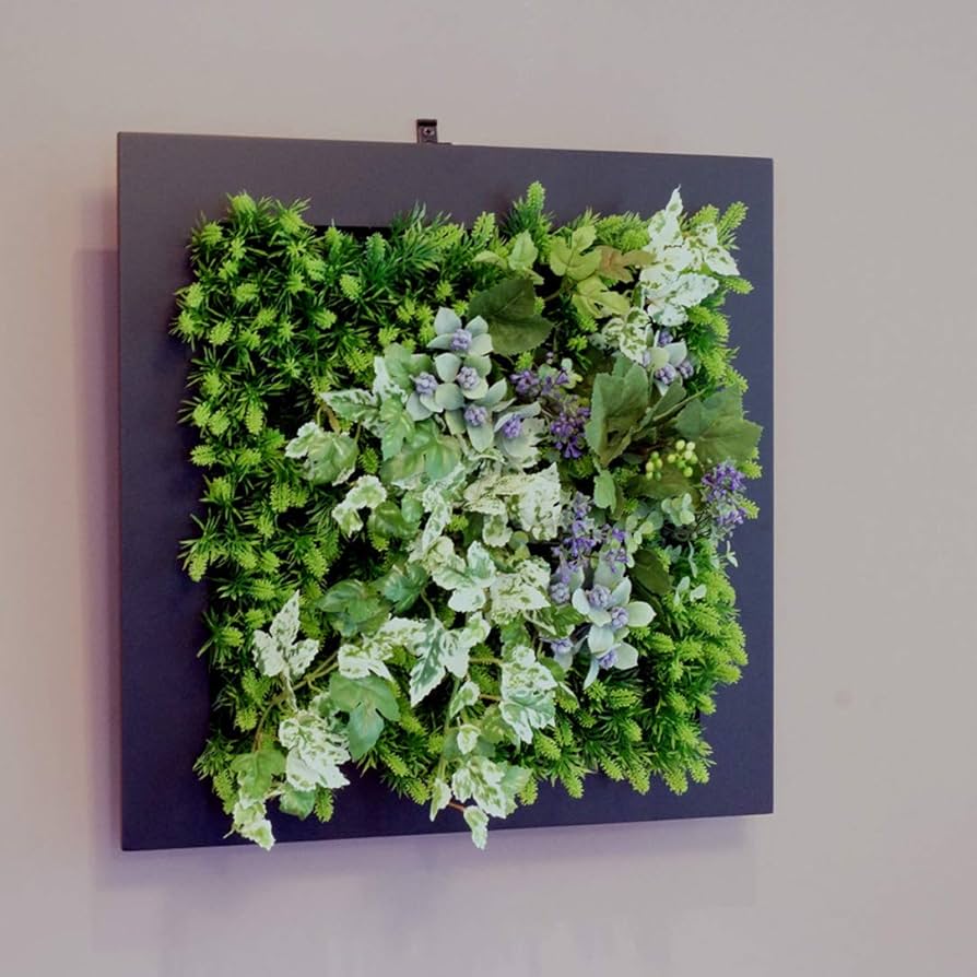 Amazon｜壁掛けグリーンフレームフレッシュアイビーブラック（光触媒