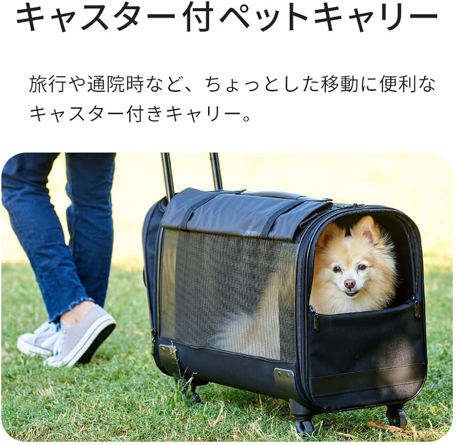 Amazon.co.jp: 【OFT】 キャリーバッグ NEW L 適応体重12kg オー
