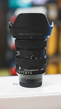 Amazon.com : 24-70mm F2.8 DGDN II for Sony E : Electronics