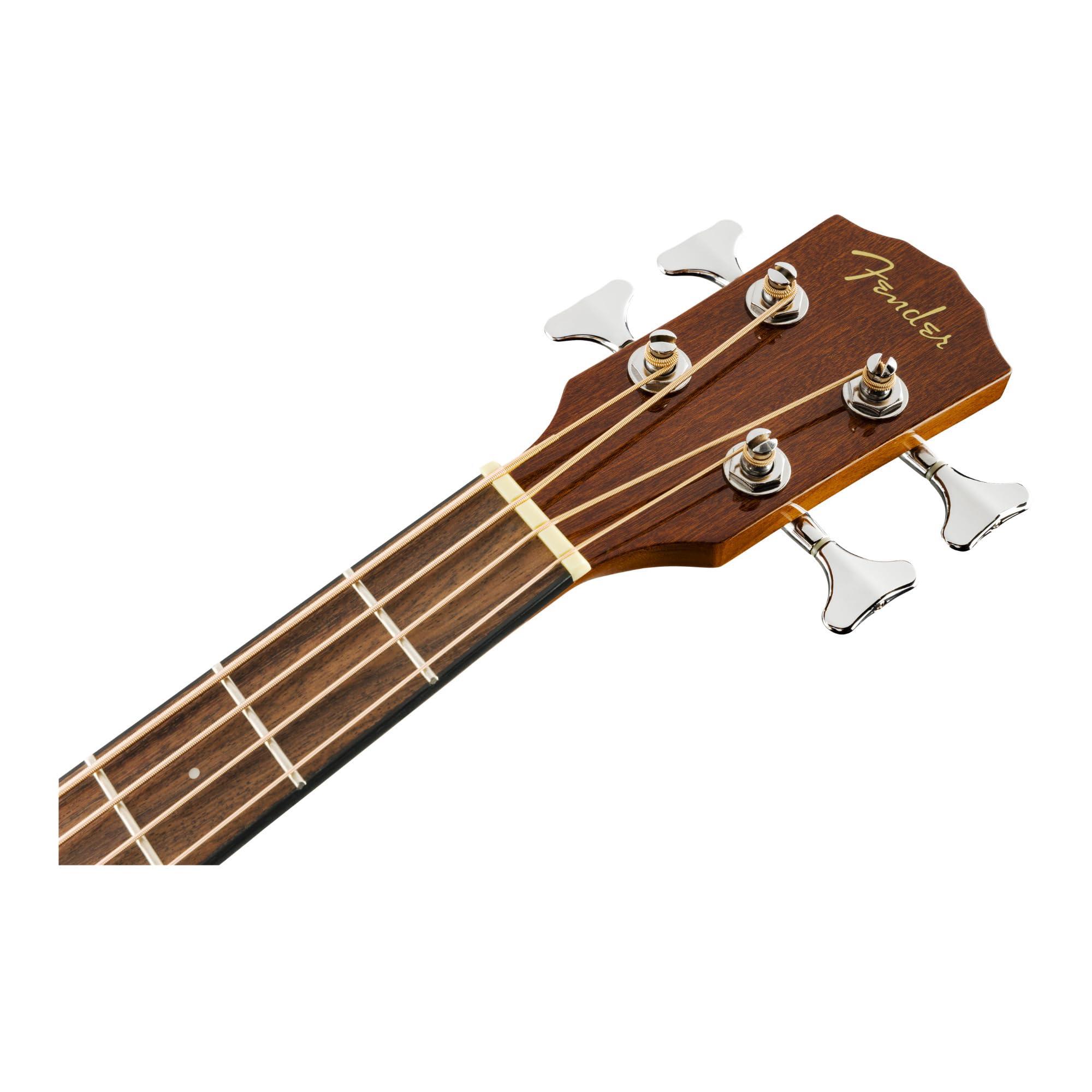 Amazon.com: Fender CB-60SCE Acoustic Bass, with 2-Year Warranty