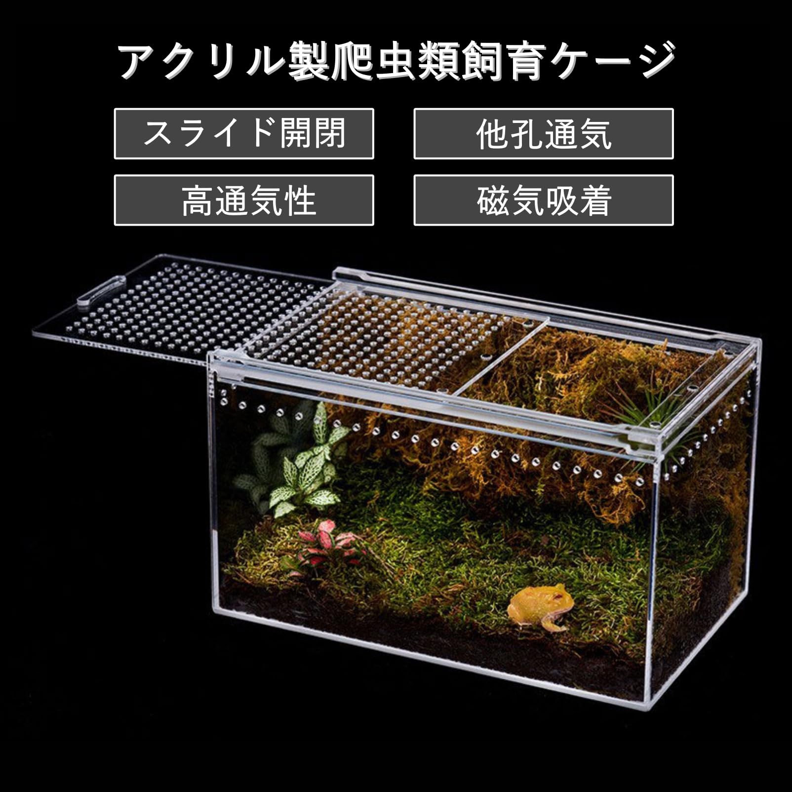 Amazon | COZENTA 爬虫類 ケージ シェルター アクリル製 トカゲ 蛇