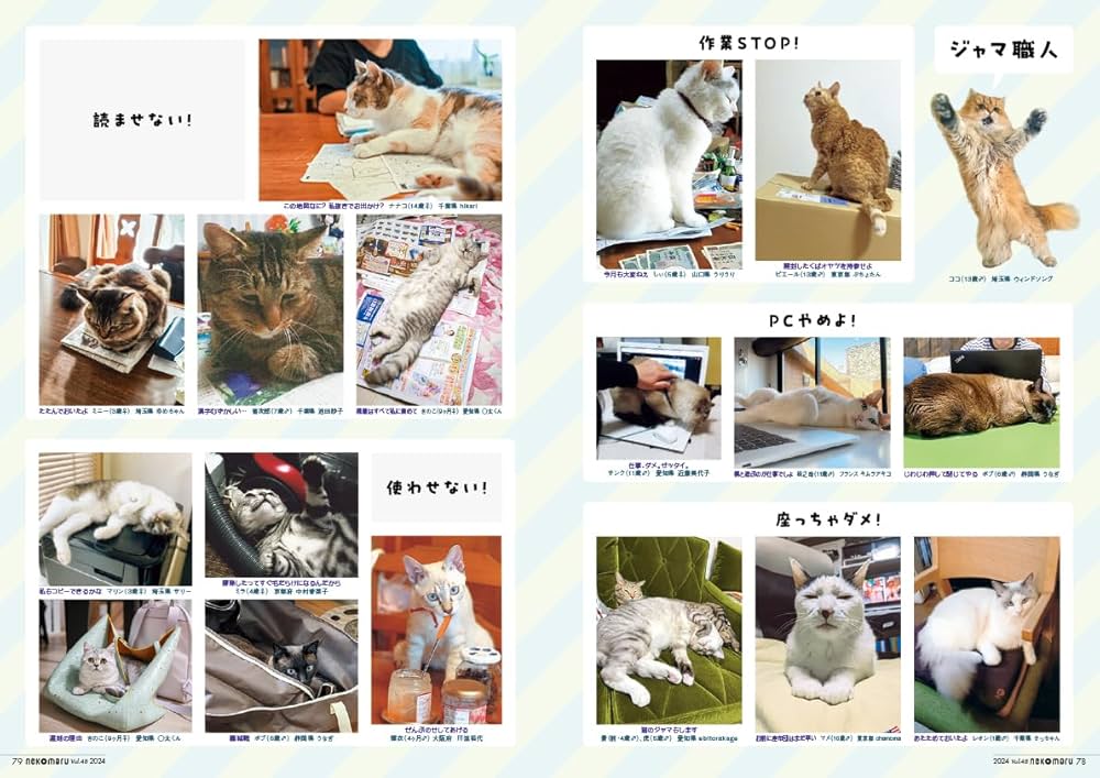 ネコまる 2024年夏秋号 vol.48 (タツミムック) | 猫びより編集部 |本