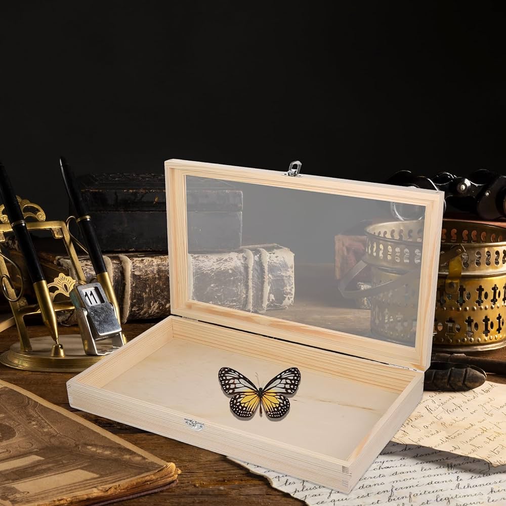 P*.様 蝶の標本セット 木箱入り P*.様 蝶の標本セット