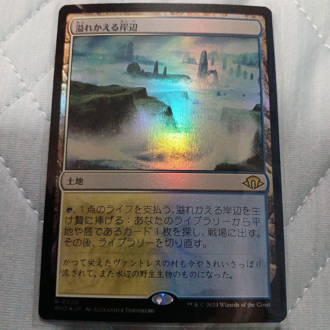 溢れかえる岸辺 4枚セット 日本語 溢れかえる岸辺 ×4 mtg 溢れかえる
