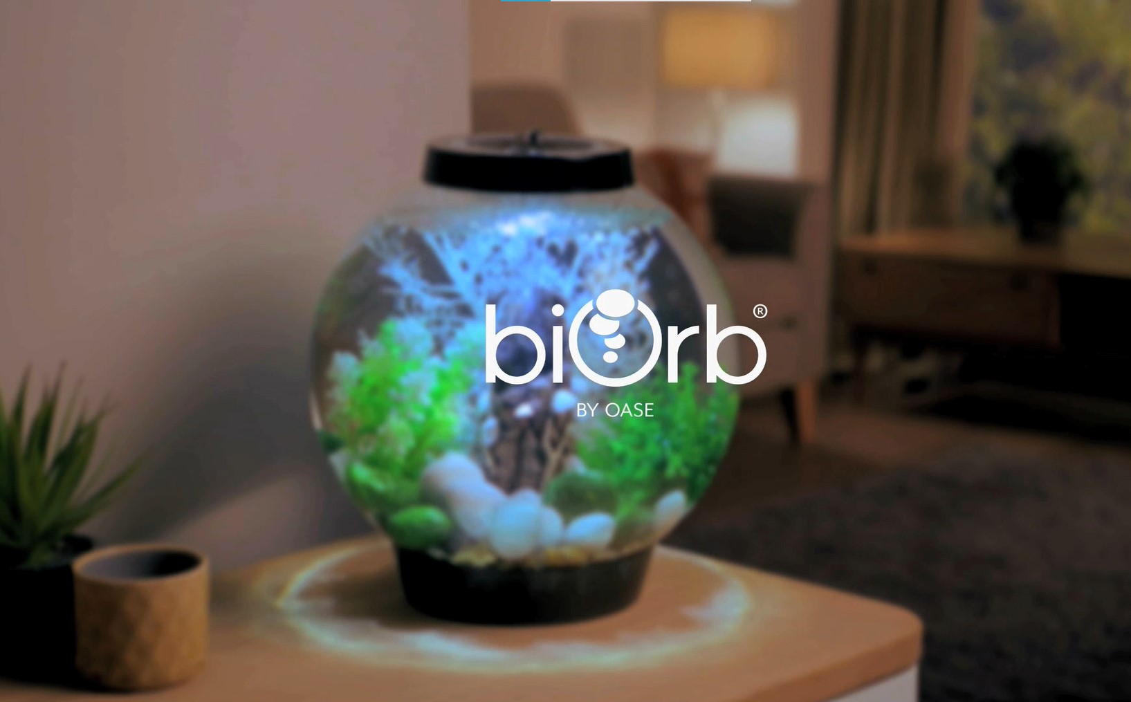 Amazon | biOrb 水槽 セット クラシック 15L (72002) おしゃれ