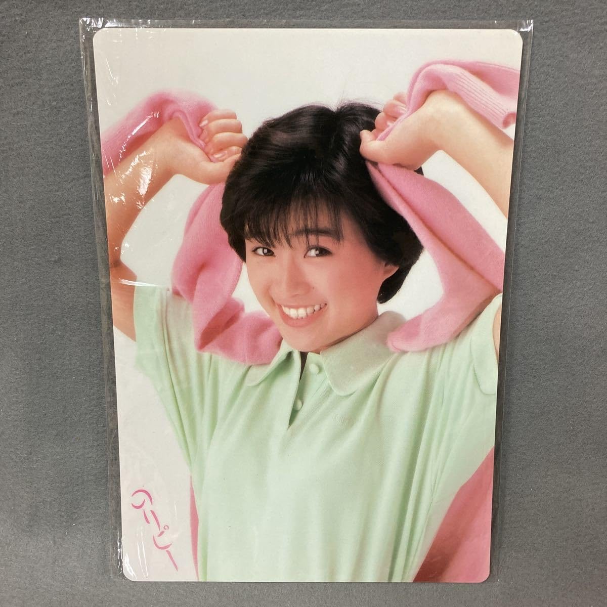Amazon.co.jp: 酒井法子 下敷き 2枚 昭和 当時物 サン企画 1988年 のり