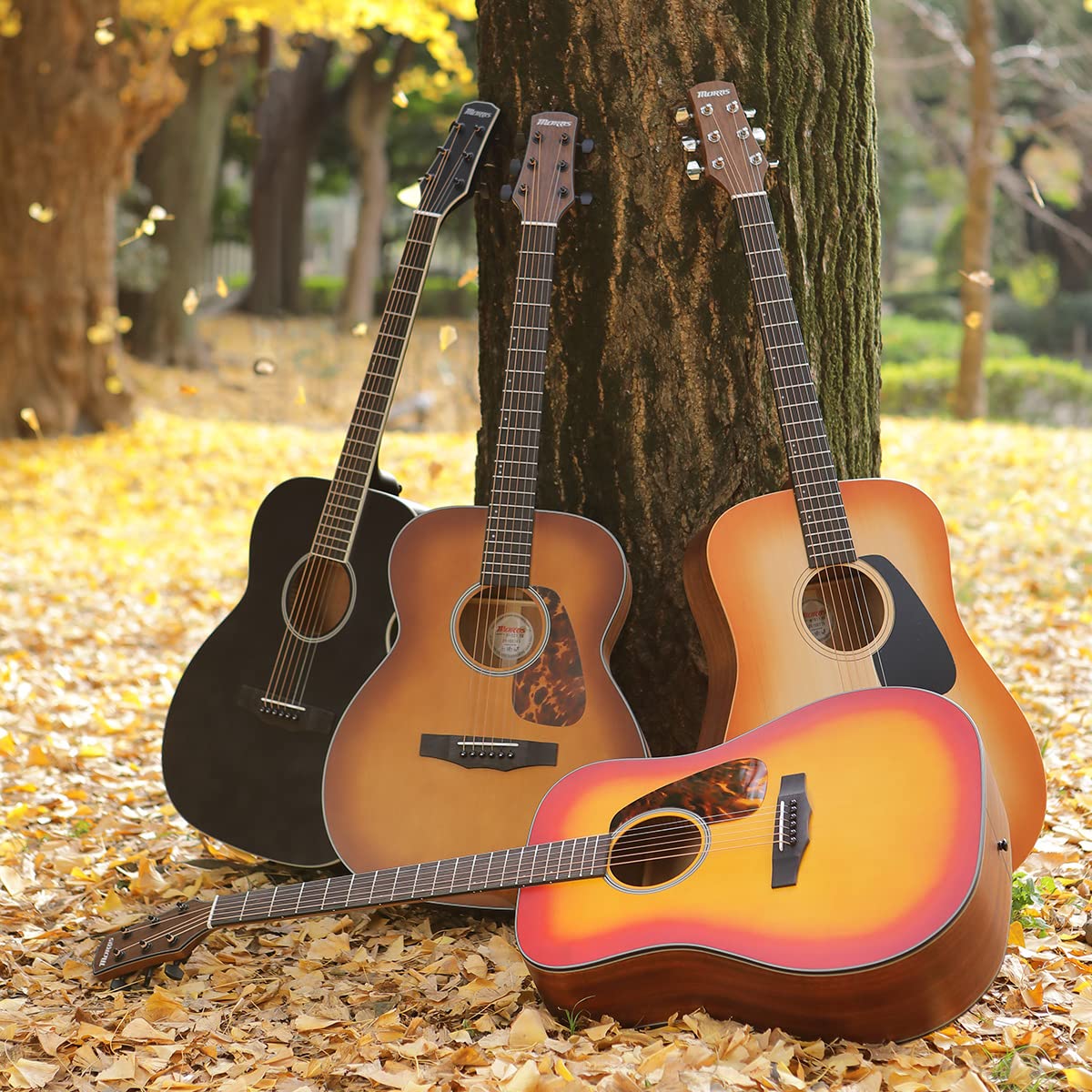 Amazon.co.jp: Morris モーリス Perfomers Edition M-011 HS