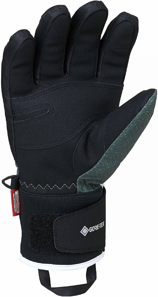 Amazon | [ミズノ] スキー ウィンター グローブ 手袋 ユニセックス