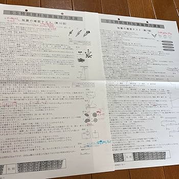 Amazon.co.jp: サピックス SS特訓 単科理科 知識の確認テスト 全14回