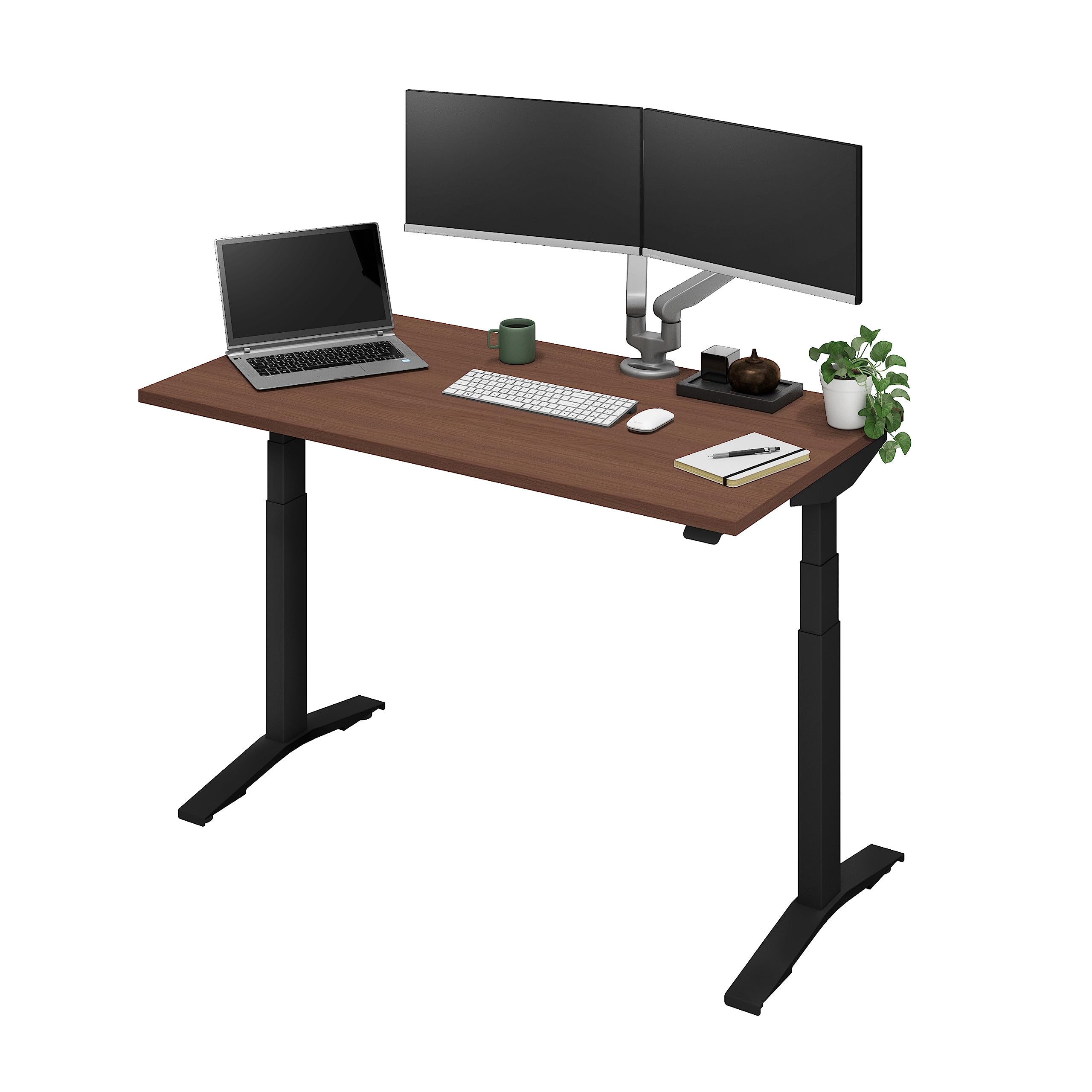 Amazon | コクヨ スタンジットダブル (お客様組立 / 2梱包) 高さを記憶