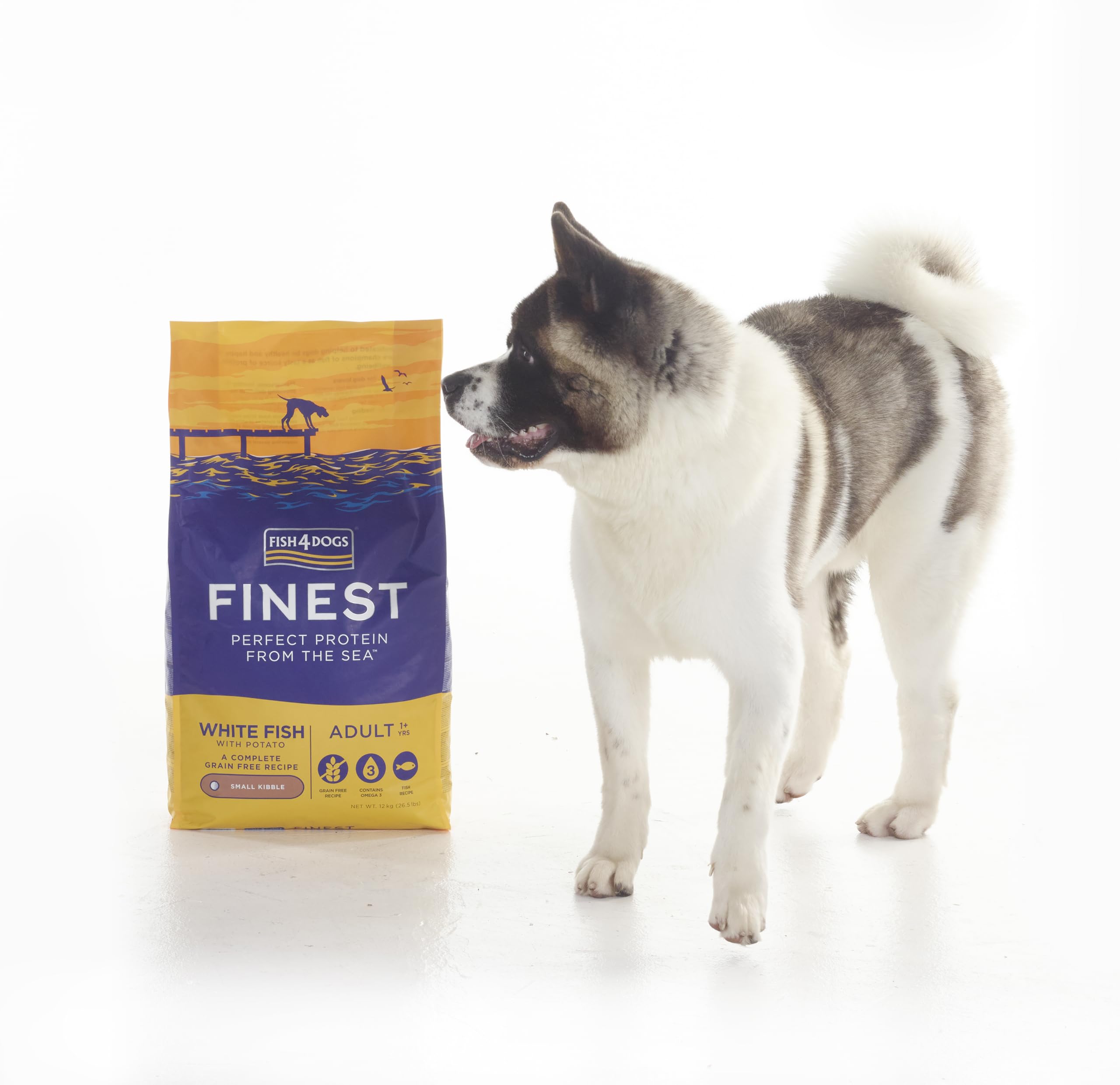 Amazon.co.jp: フィッシュ4ドッグ FISH 4 DOGS ドッグフード ファイ