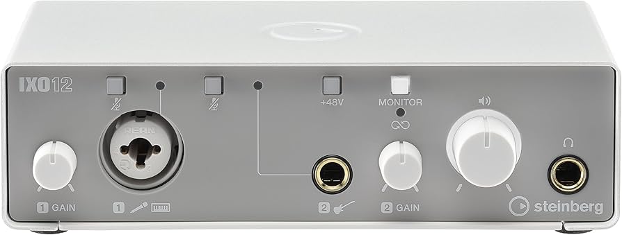 Amazon.com: Steinberg IXO12 White, 2x2 USB 2.0 24-Bit/192kHz Audio