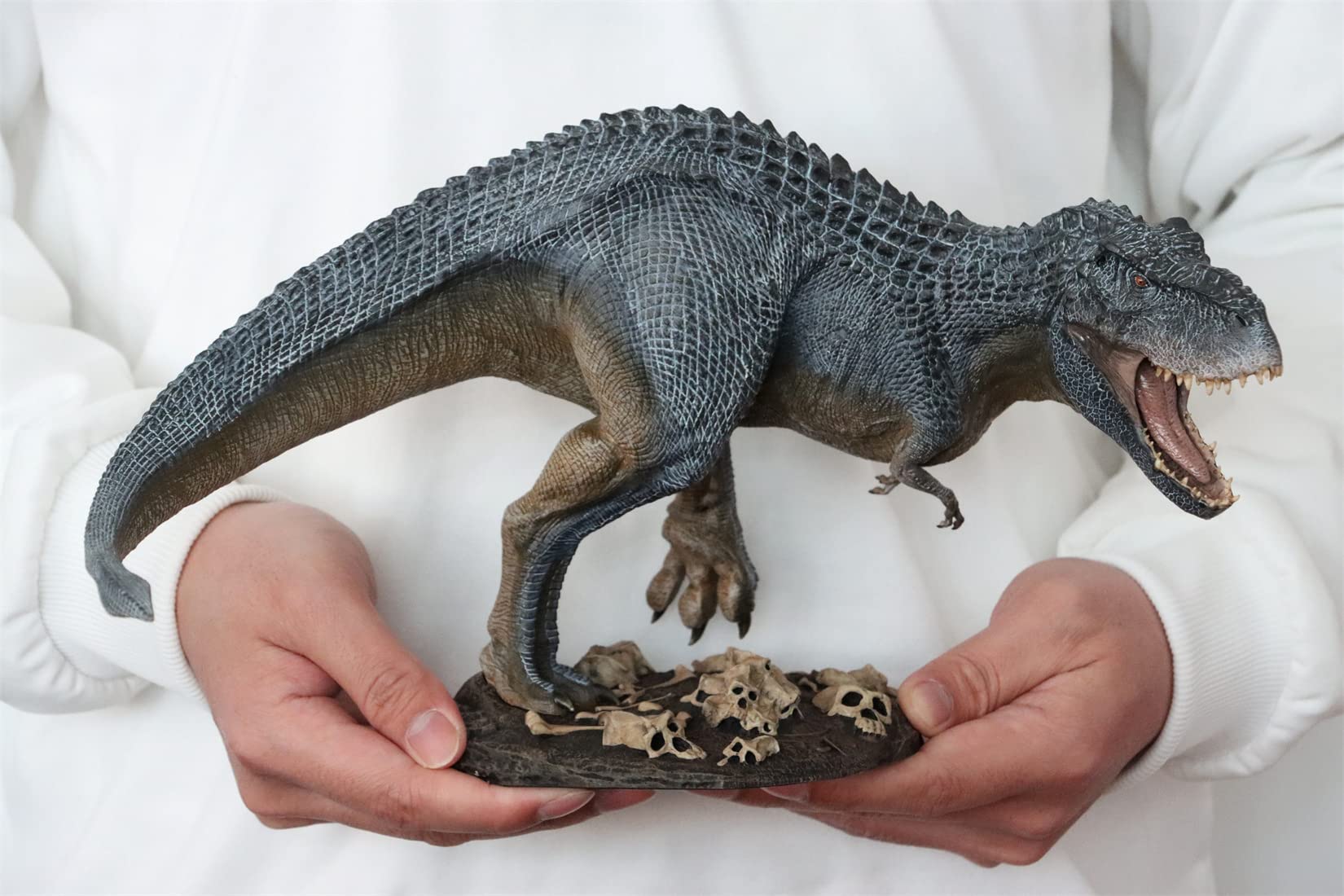 Amazon | Nanmu 本心楠改 1/35 サイズ 限定版 ヴァスタトサウルス